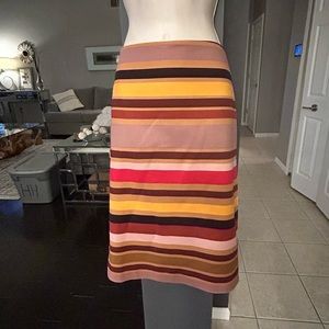 Lord & Taylor Skirt. Size 8P